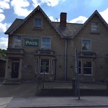 The Pines Guest Accommodation Chippenham  Kültér fotó
